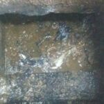 jasa sedot wc di cilegon terbaik