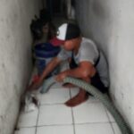 jasa sedot wc cibodas terbaik