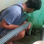 jasa sedot wc di cibodas