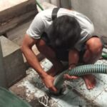 Sedot WC Kota Cilegon - Gambar 2