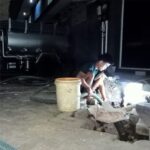 jasa sedot wc di balaraja