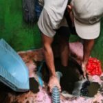 Sedot WC Jakarta Barat - Gambar 5