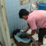 Sedot WC Karawang - Gambar 3