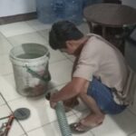 Sedot WC Pekanbaru - Gambar 2