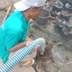 Sedot WC Pematangsiantar Sumatera Utara - Gambar 3