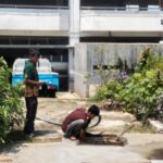 sedot wc di kayu putih jakarta