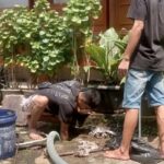 sedot wc di grogol murah