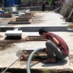 Sedot WC Setiabudi - Gambar 2