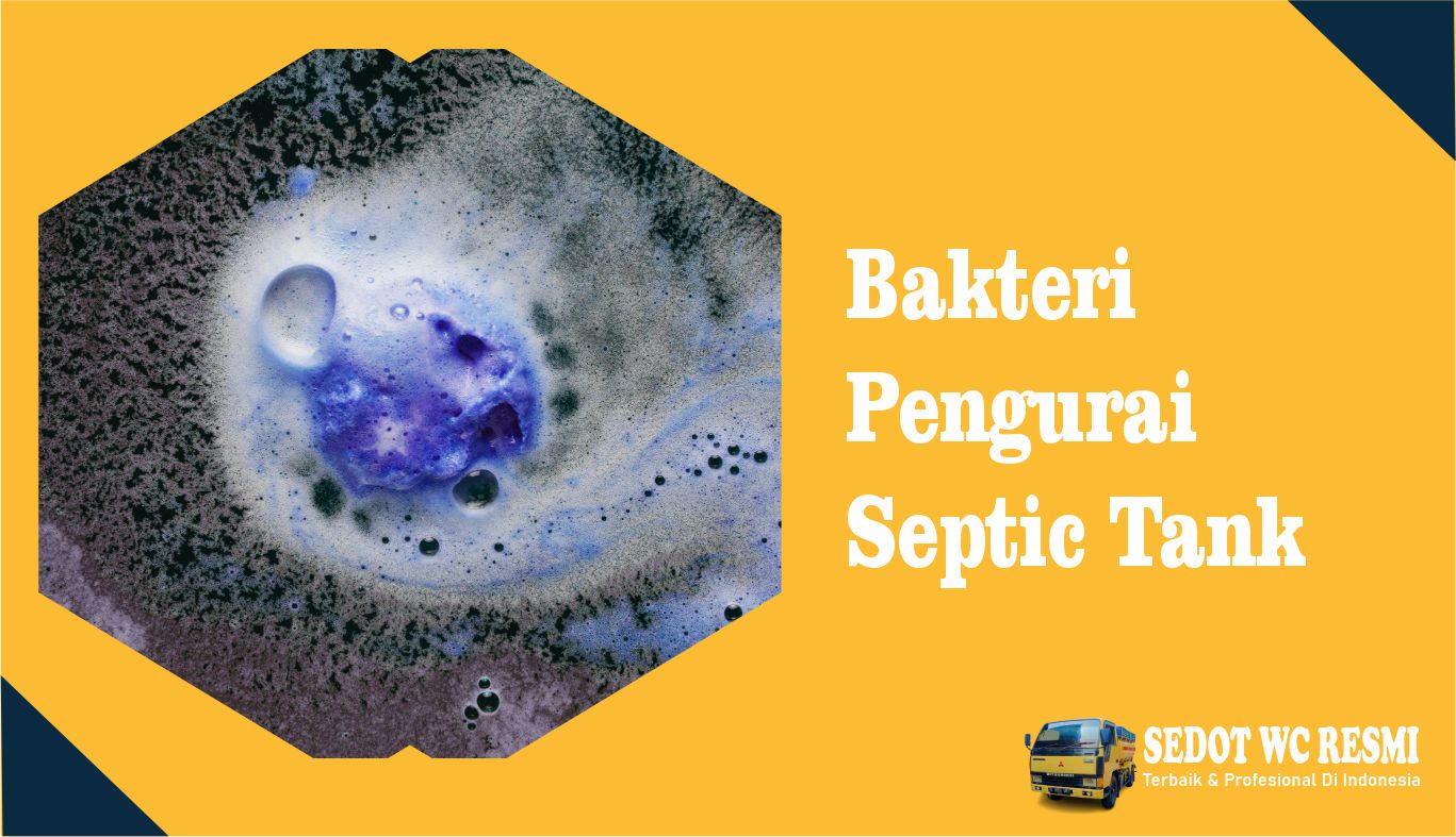 bakteri pengurai septic tank