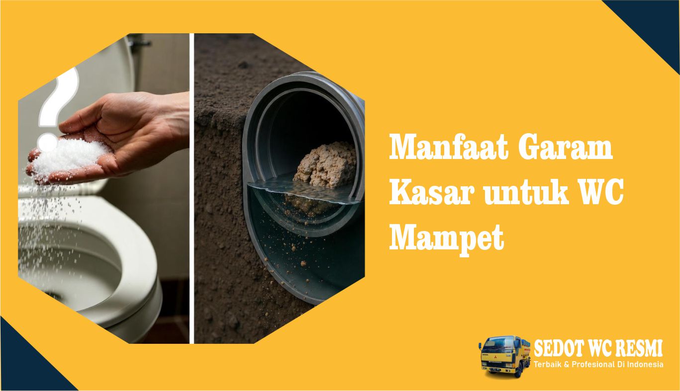 Manfaat Garam Kasar untuk WC Mampet